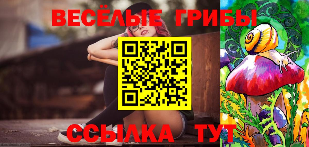 Галлюциногенные грибы ЛСД  Вход с VPN  Торжок 
